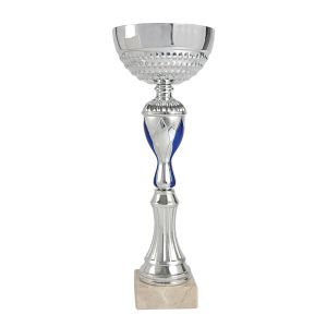 Trofeo copa azul