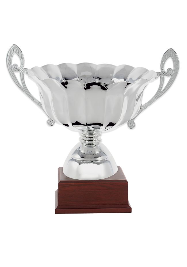 Trofeo copa ensaladera plata